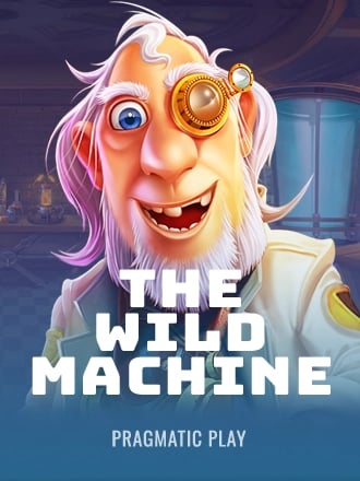 Machine a sous The Wild Machine